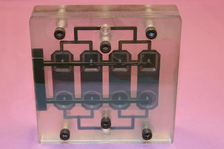 Molds/ACRYLIC MOLD A